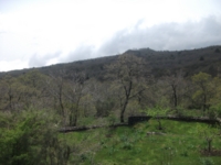 fugio monte Crisimo201100501 108